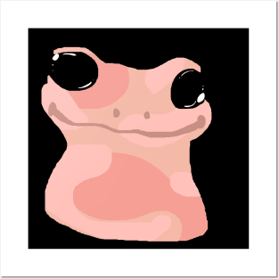 Cute goofy looking frog Posters and Art